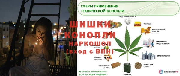 стафф Пестово