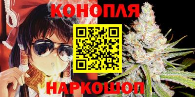 стафф Донецк