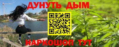 стафф Донецк