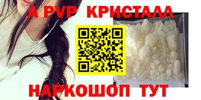 стафф Донецк