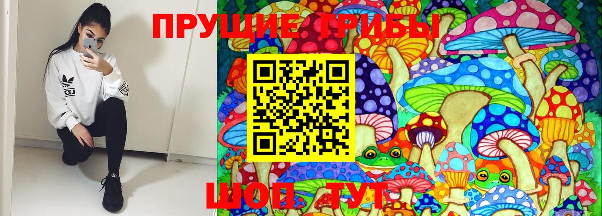 наркошоп  Псилоцибиновые грибы Magic Shrooms  Вход с VPN  Первоуральск 