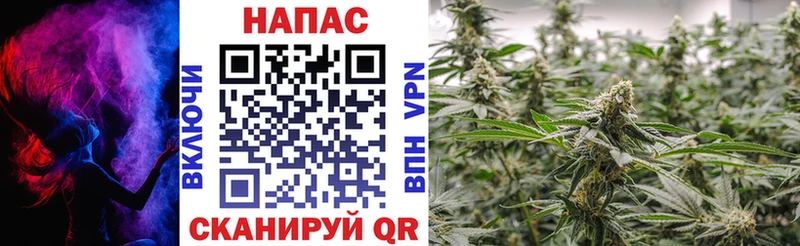 mega как войти  Первоуральск  МАРИХУАНА сатива  закладка 